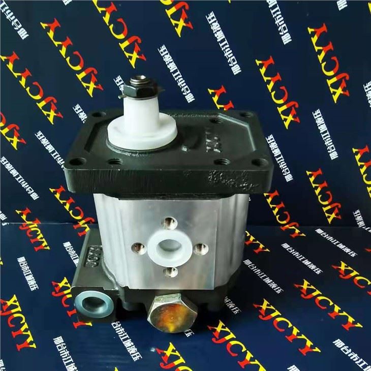 Hydraulic Gear Pump for Fiat