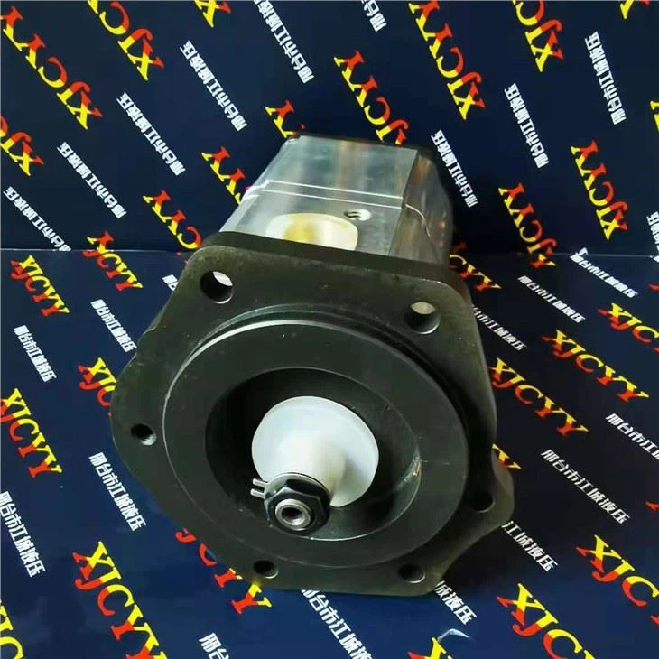 Hydraulic Pump for KIOTI