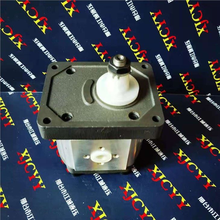 Massey Ferguson Hydraulic Gear Pump